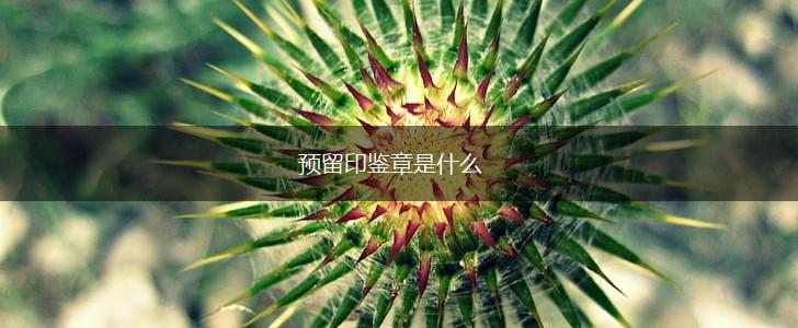 预留印鉴章是什么,第1张