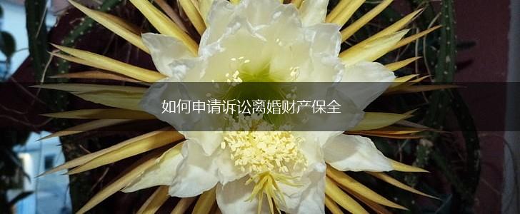 如何申请诉讼离婚财产保全,第1张