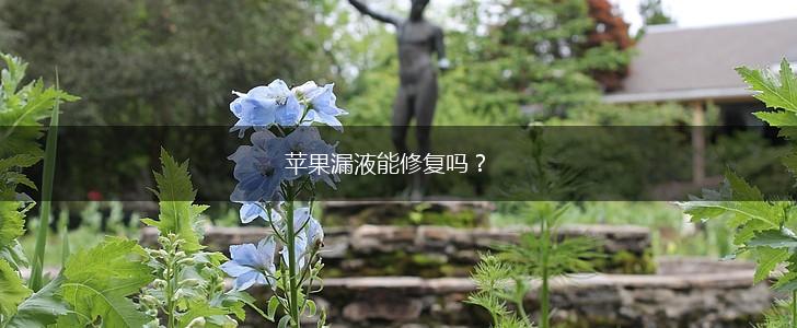 苹果漏液能修复吗？,第1张