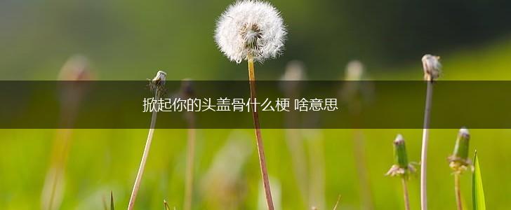 掀起你的头盖骨什么梗 啥意思,第1张