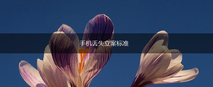 手机丢失立案标准,第1张