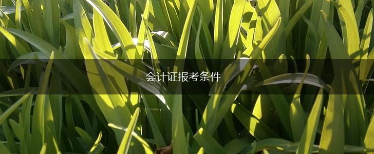 会计证报考条件,第1张