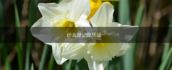 什么是记账凭证,第1张
