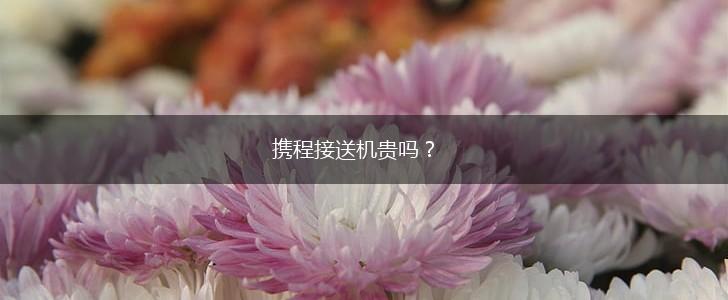 携程接送机贵吗？,第1张
