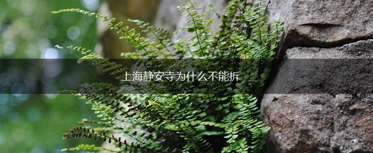 上海静安寺为什么不能拆,第1张 上海静安寺为什么不能拆,第1张