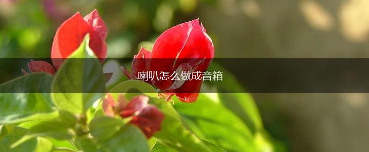 喇叭怎么做成音箱,第1张