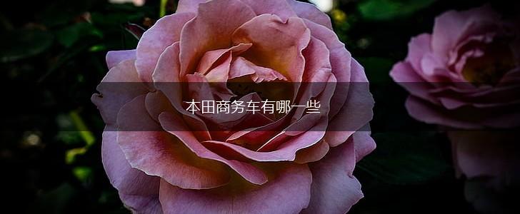 本田商务车有哪一些,第1张