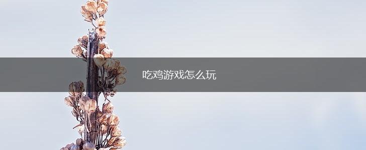 吃鸡游戏怎么玩,第1张