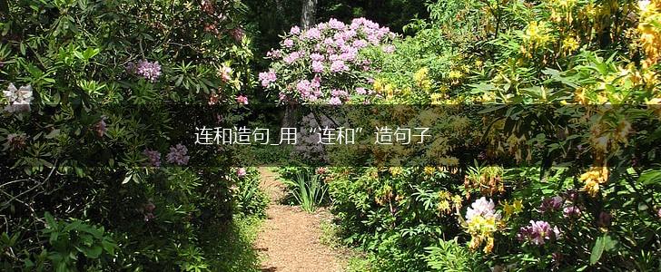 连和造句_用“连和”造句子,第1张