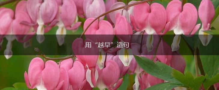用“越早”造句,第1张