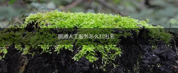圆通人工服务怎么打出来,第1张