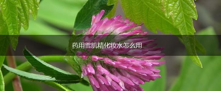 药用雪肌精化妆水怎么用,第1张