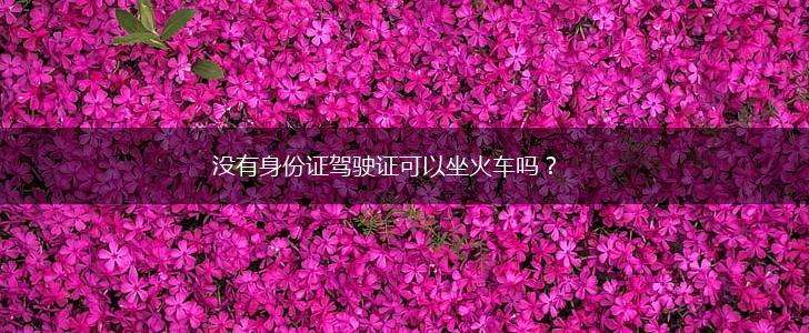 没有身份证驾驶证可以坐火车吗？,第1张