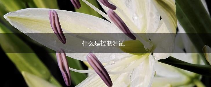 什么是控制测试,第1张