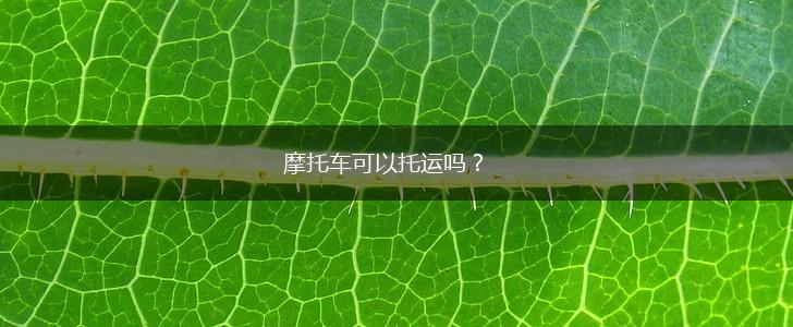 摩托车可以托运吗？,第1张