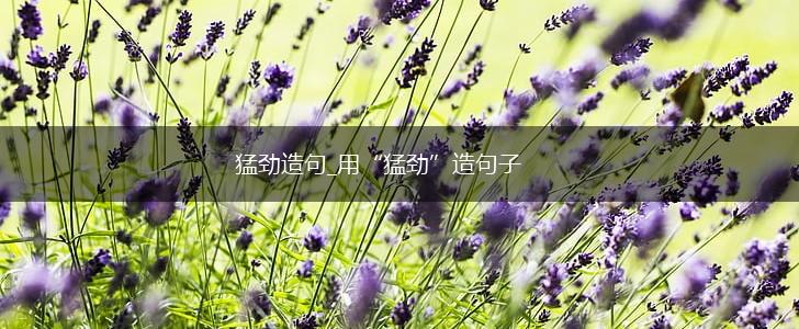 猛劲造句_用“猛劲”造句子,第1张