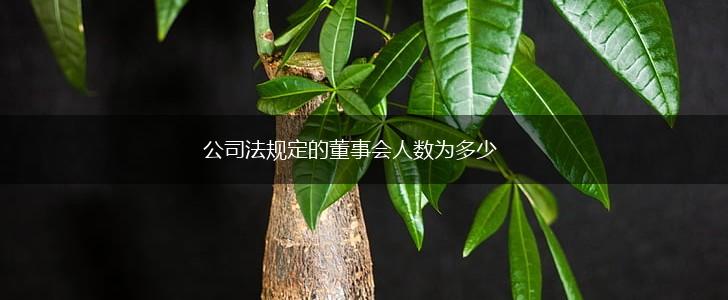 公司法规定的董事会人数为多少,第1张