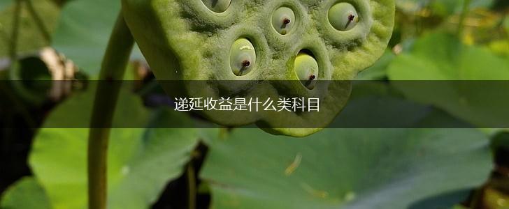 递延收益是什么类科目,第1张