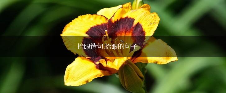 抬眼造句,抬眼的句子,第1张