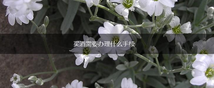 买酒需要办理什么手续,第1张