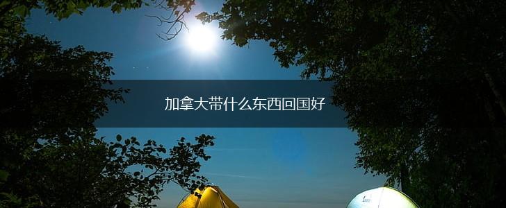 加拿大带什么东西回国好,第1张