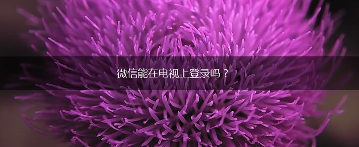 微信能在电视上登录吗？,第1张