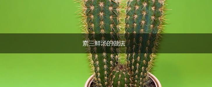 素三鲜汤的做法,第1张