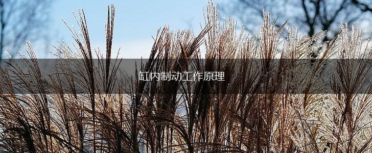 缸内制动工作原理,第1张