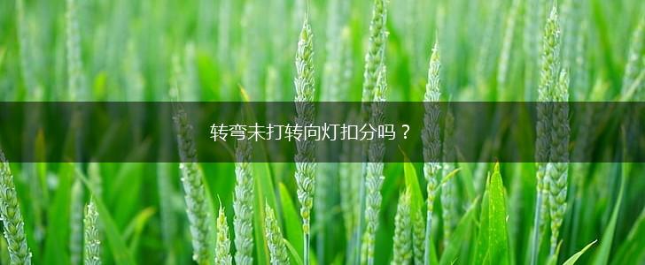 转弯未打转向灯扣分吗？,第1张