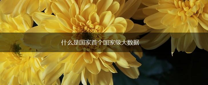 什么是国家首个国家级大数据,第1张 什么是国家首个国家级大数据,第1张