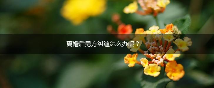 离婚后男方纠缠怎么办呢？,第1张
