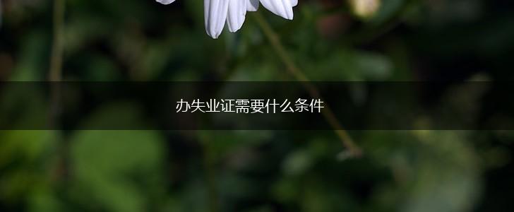 办失业证需要什么条件,第1张