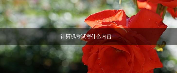 计算机考试考什么内容,第1张