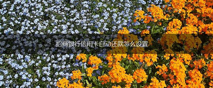招商银行信用卡自动还款怎么设置,第1张