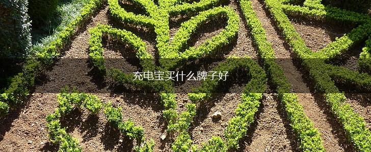 充电宝买什么牌子好,第1张