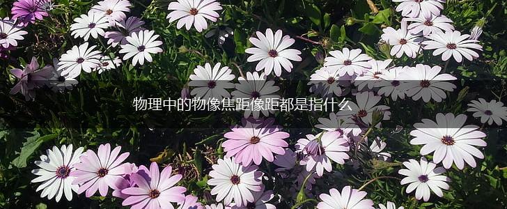 物理中的物像焦距像距都是指什么,第1张
