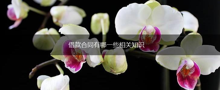 借款合同有哪一些相关知识,第1张