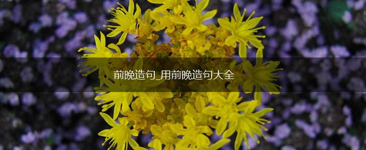 前晚造句_用前晚造句大全,第1张