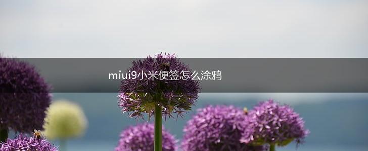 miui9小米便签怎么涂鸦,第1张