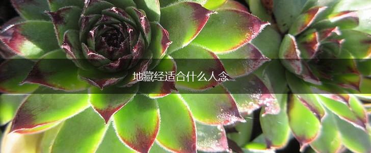 地藏经适合什么人念,第1张