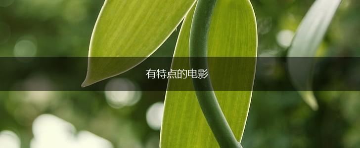 有特点的电影,第1张