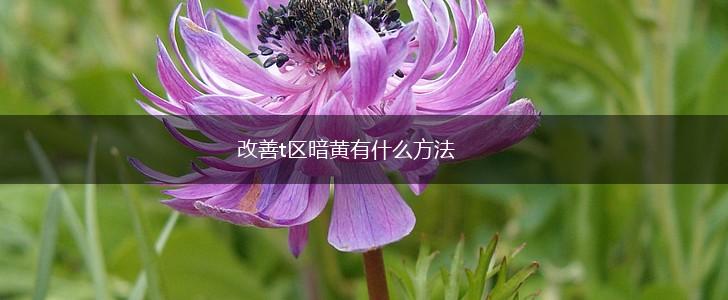 改善t区暗黄有什么方法,第1张