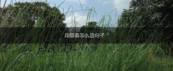用惜春怎么造句子,第1张