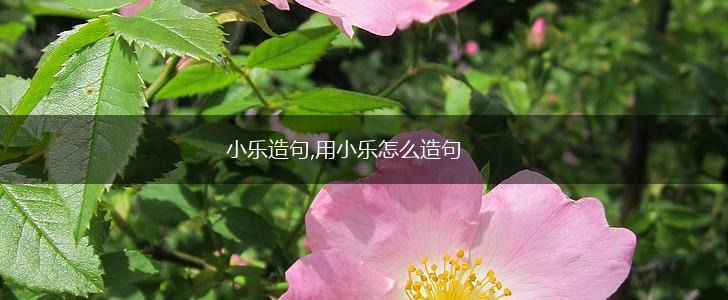 小乐造句,用小乐怎么造句,第1张