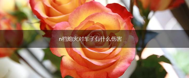 n档熄火对车子有什么伤害,第1张