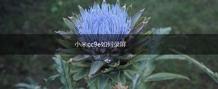 小米cc9e如何录屏,第1张