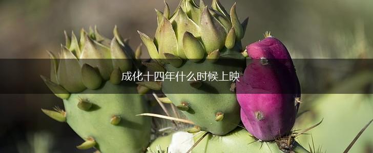 成化十四年什么时候上映,第1张 成化十四年什么时候上映,第1张