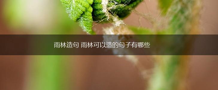雨林造句 雨林可以造的句子有哪些,第1张