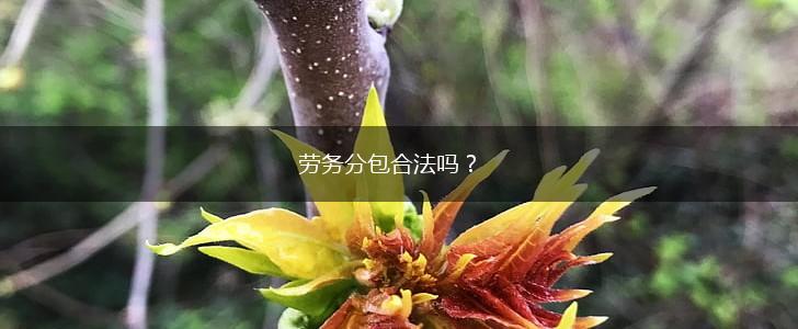 劳务分包合法吗？,第1张