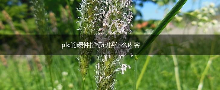 plc的硬件指标包括什么内容,第1张